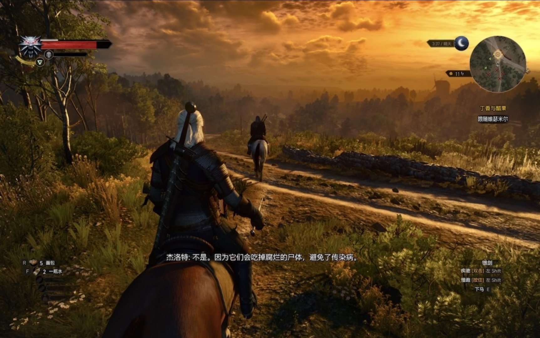 塞尔达传说：旷野之息 完整版 截图11